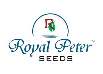 Seeds Bags manufacturer
